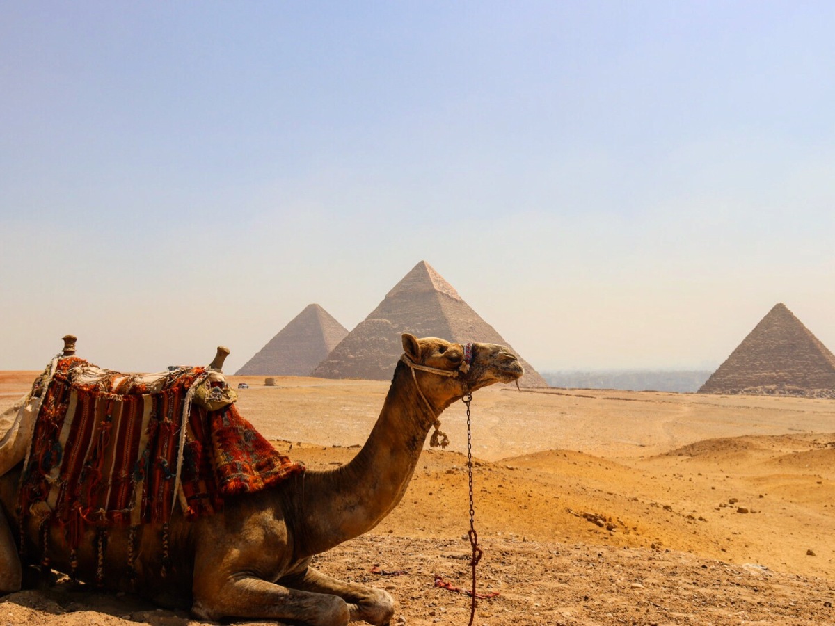 Exploring Egypt